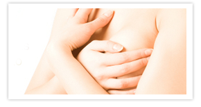 Nullam euismod commodo