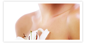 Nullam euismod commodo