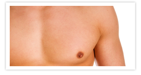 Nullam euismod commodo