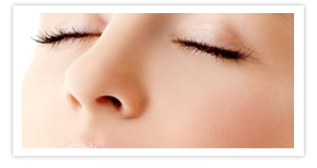 Nullam euismod commodo