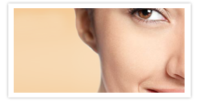 Nullam euismod commodo